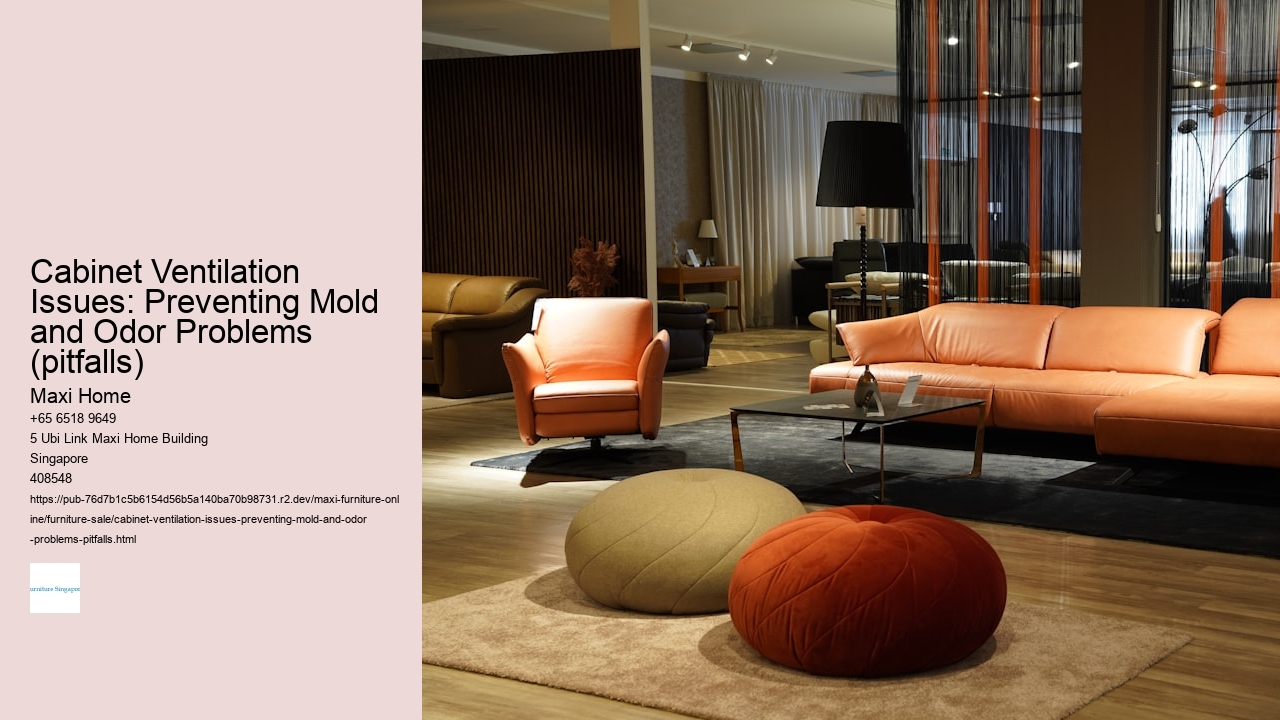 Cabinet Ventilation Issues: Preventing Mold and Odor Problems (pitfalls)