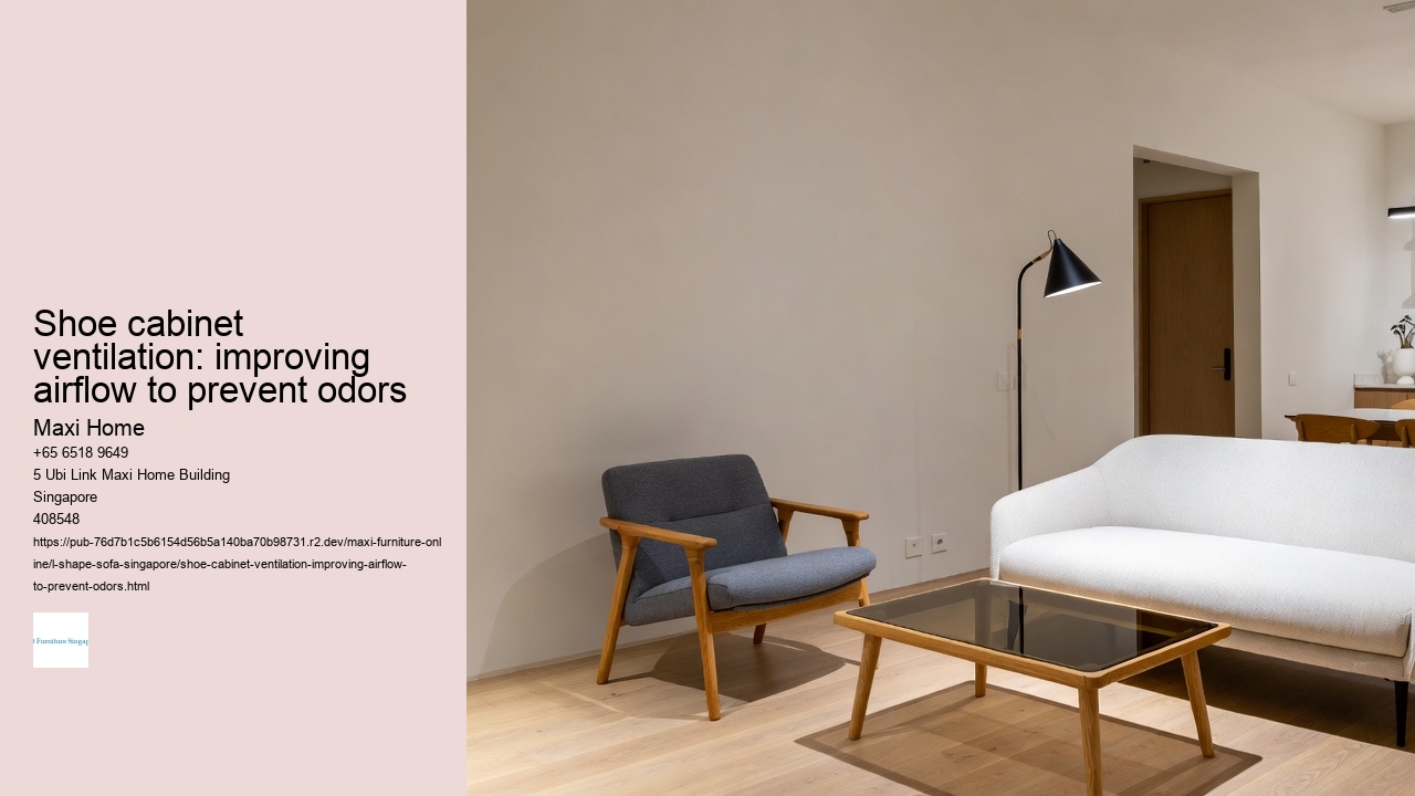 Shoe cabinet ventilation: improving airflow to prevent odors