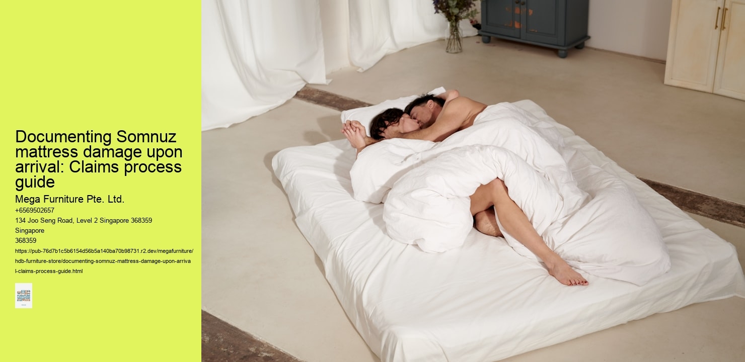 Documenting Somnuz mattress damage upon arrival: Claims process guide