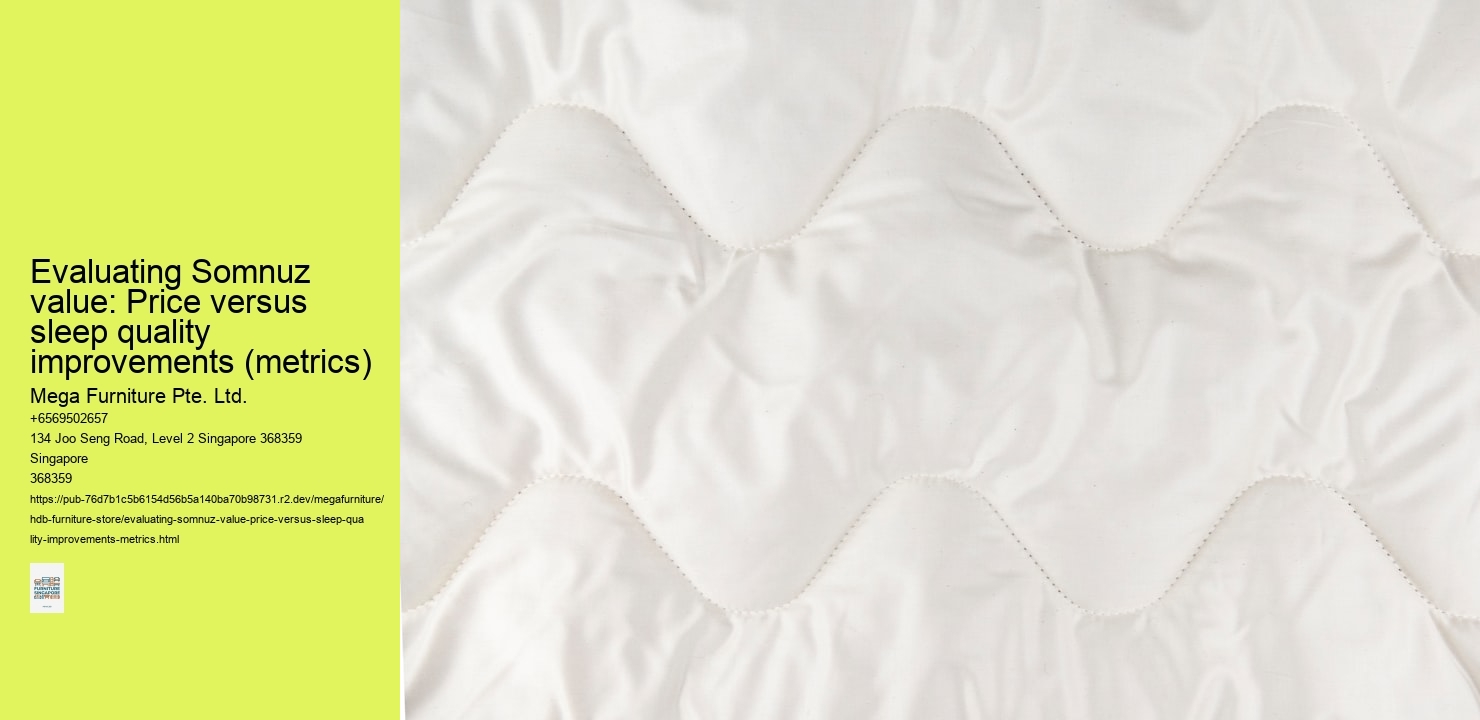 Evaluating Somnuz value: Price versus sleep quality improvements (metrics)