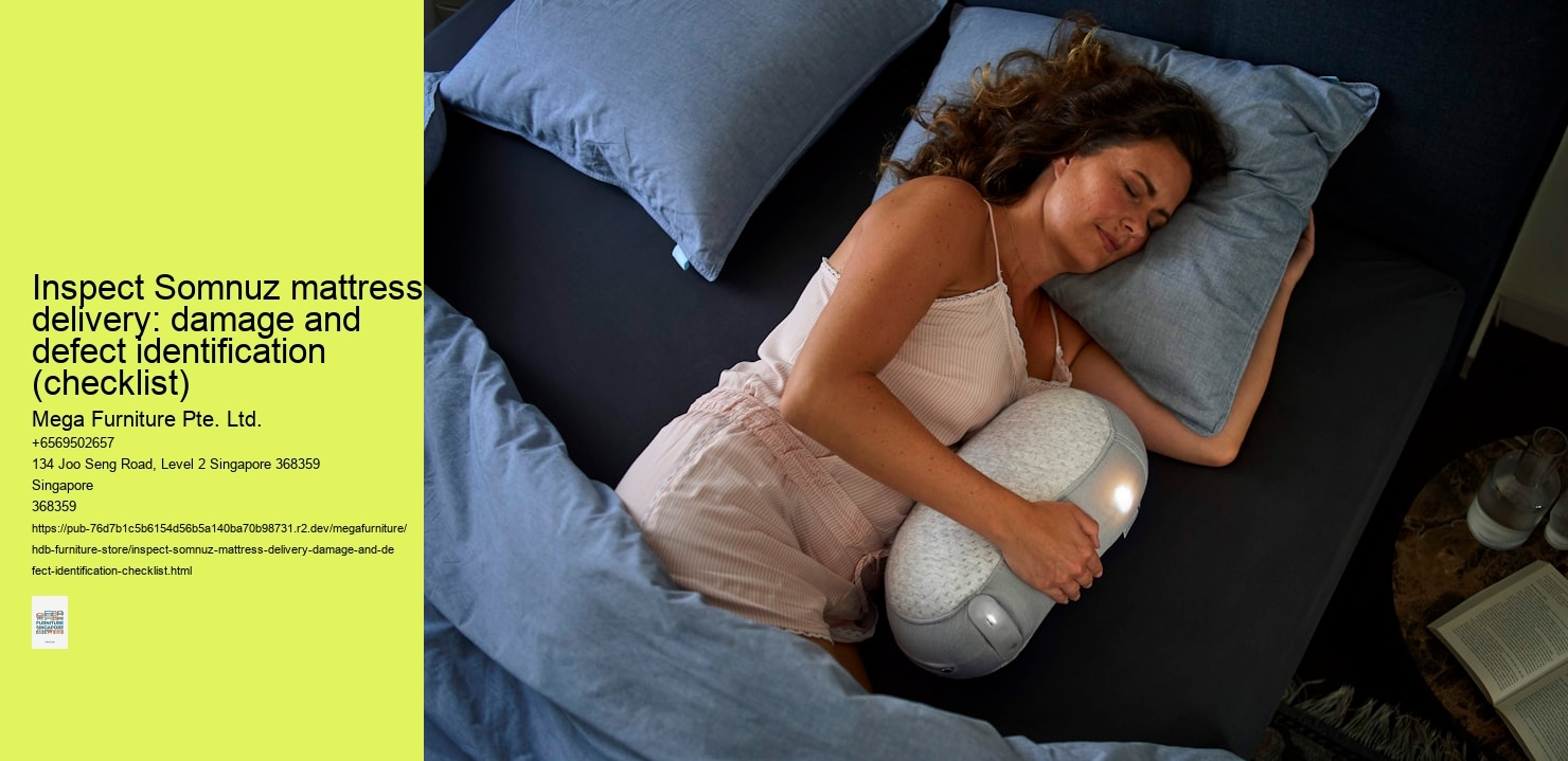Inspect Somnuz mattress delivery: damage and defect identification (checklist)