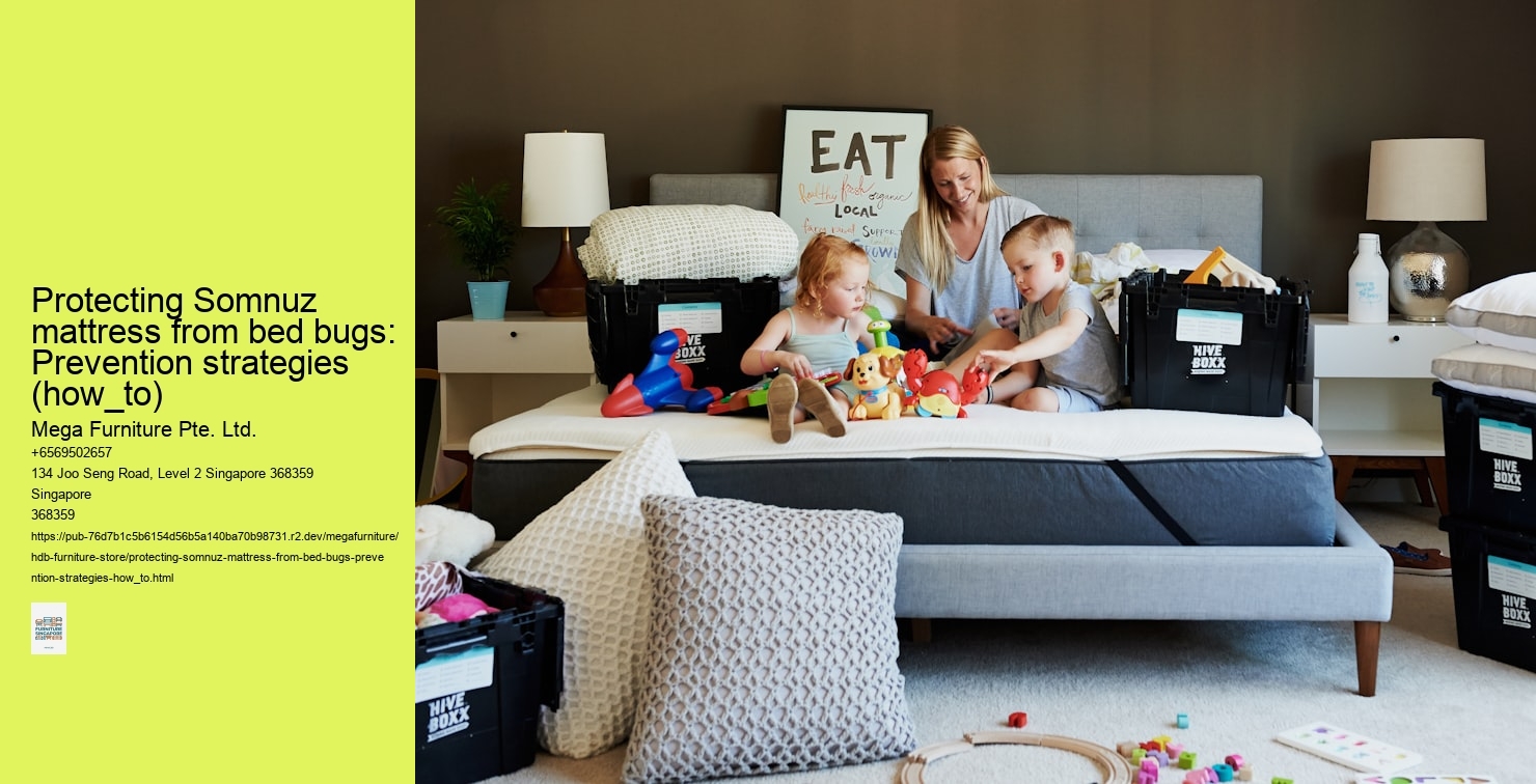 Protecting Somnuz mattress from bed bugs: Prevention strategies (how_to)