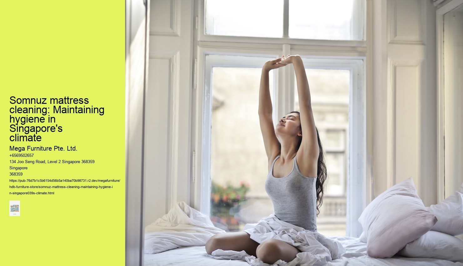 Somnuz mattress cleaning: Maintaining hygiene in Singapore's climate