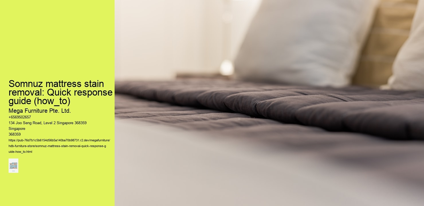 Somnuz mattress stain removal: Quick response guide (how_to)
