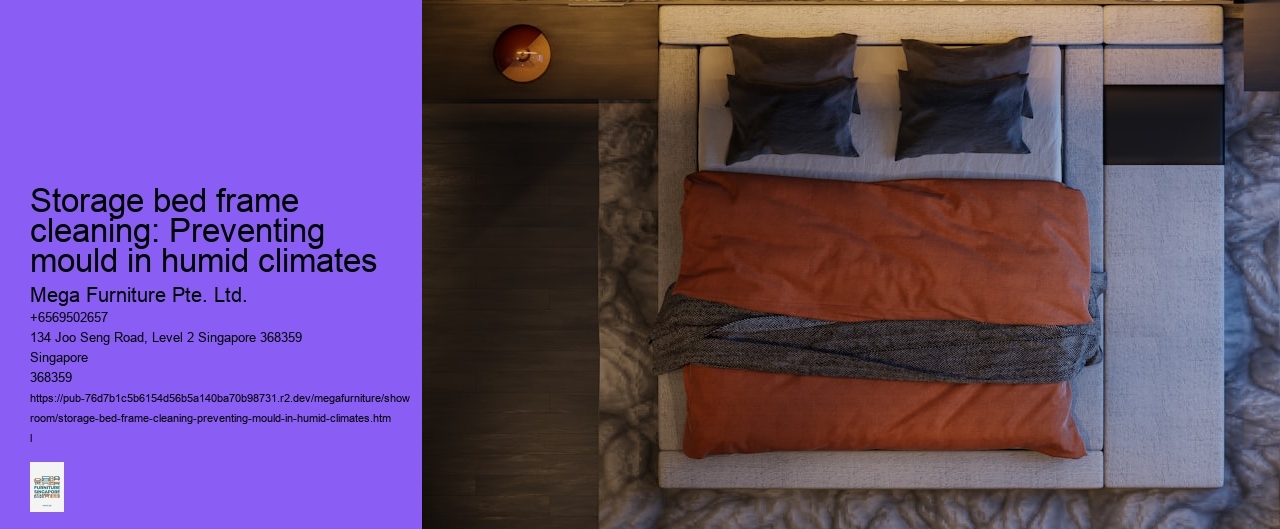 Storage bed frame cleaning: Preventing mould in humid climates