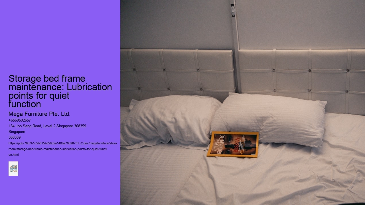 Storage bed frame maintenance: Lubrication points for quiet function